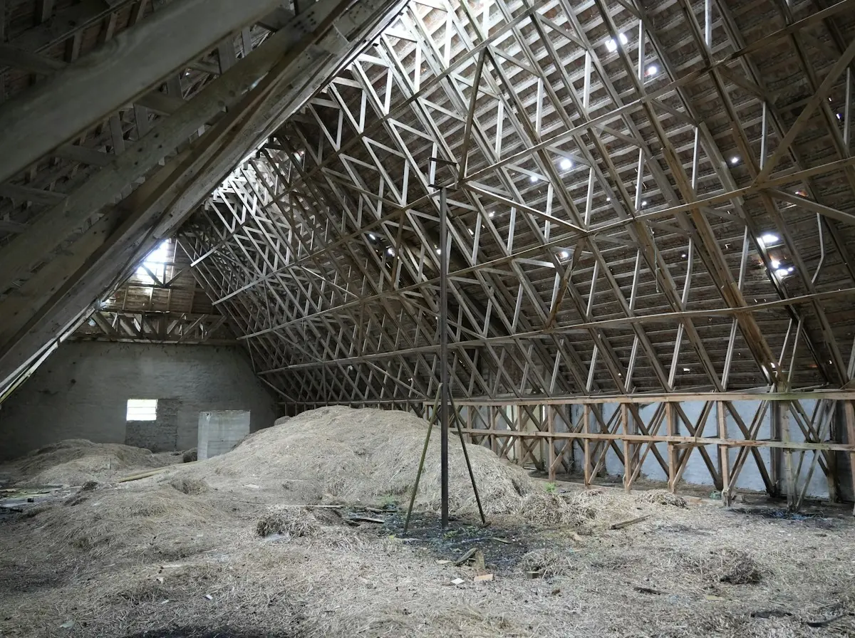 Roof Replacement in Sherman — steel roof trusses above loose-fill insulation in a large attic